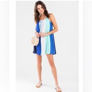 Francesca's shade of blue dress